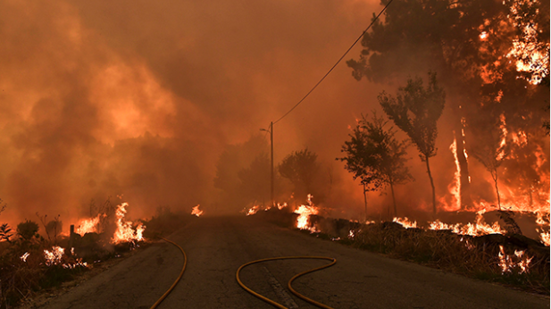 forest fire portugal portugal forest fire death toll rises