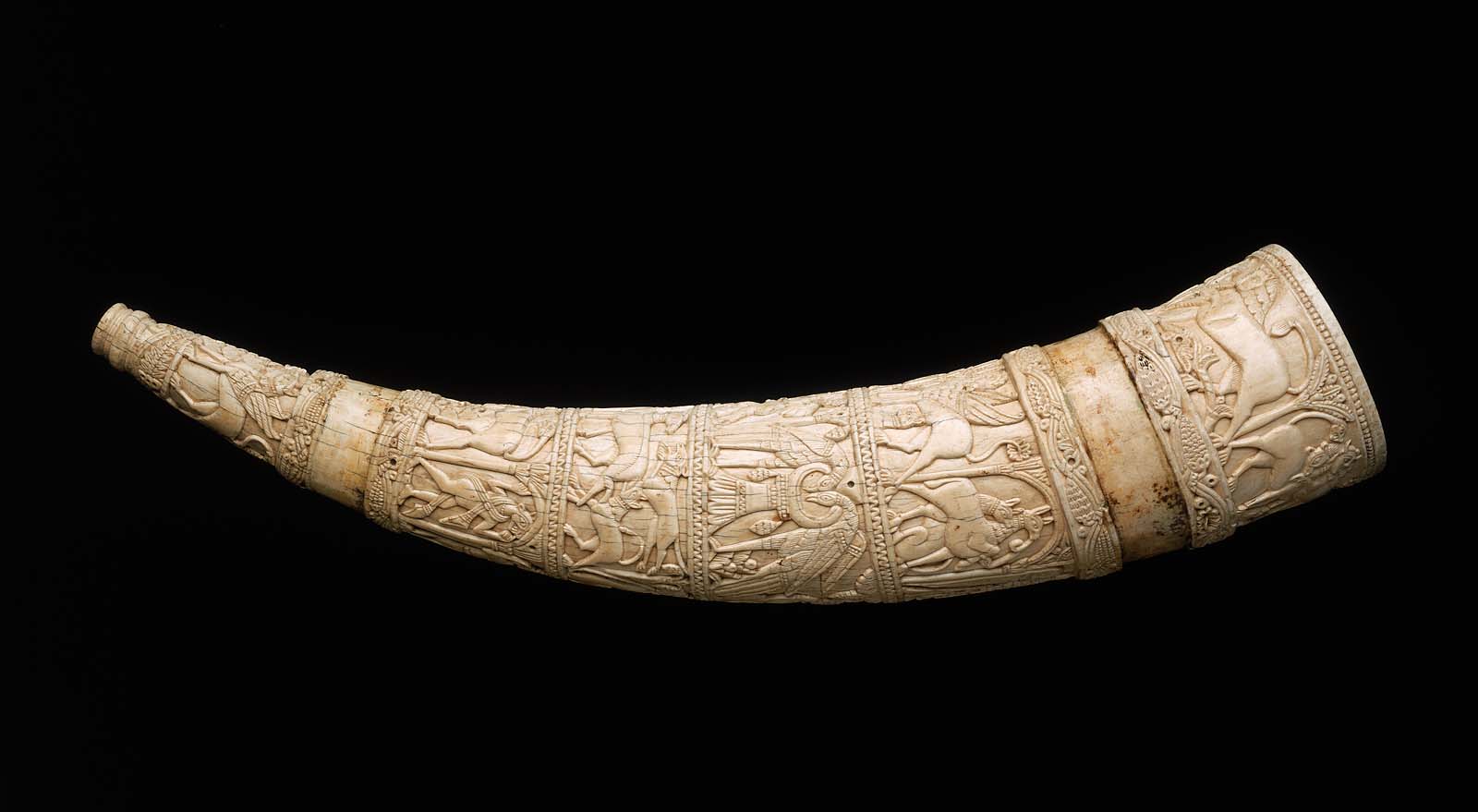 elephant tusk found from kadavantra