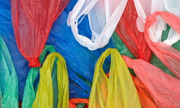 kerala bans plastic carry bags within 6 months
