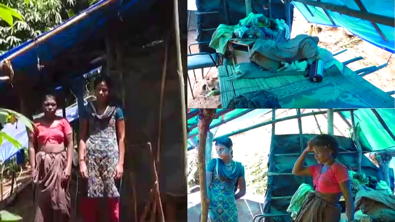 tribals in wayanad