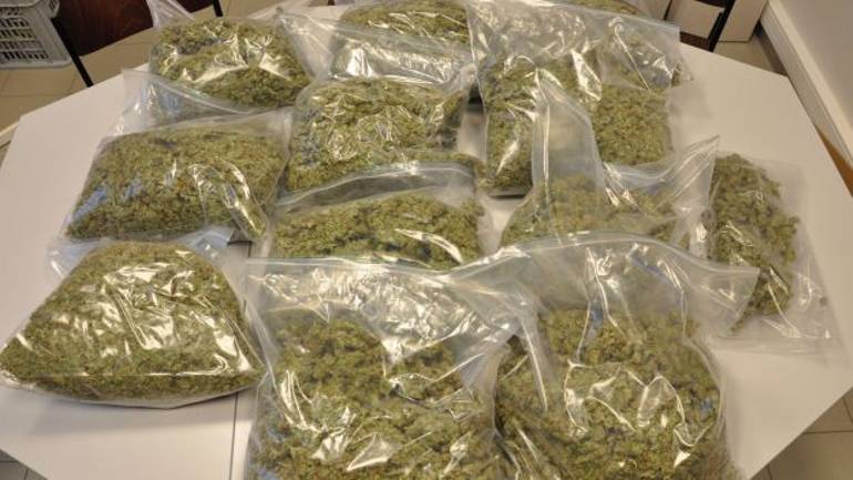 eight and half kilogram cannabis seized