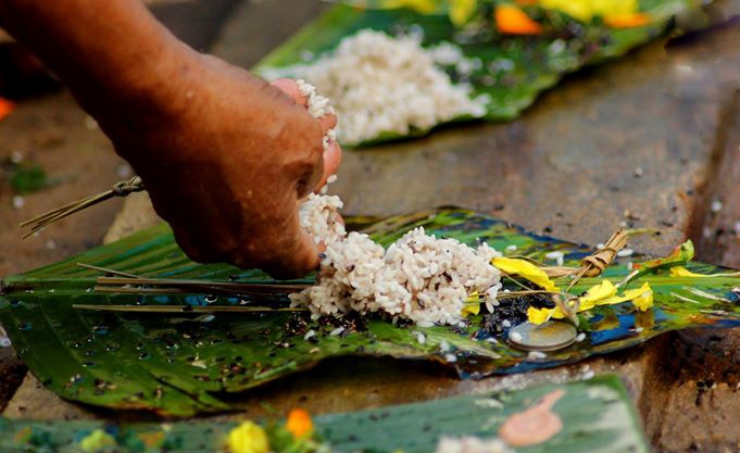 Karkidaka Vavu Bali