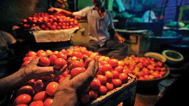 tomato price rises