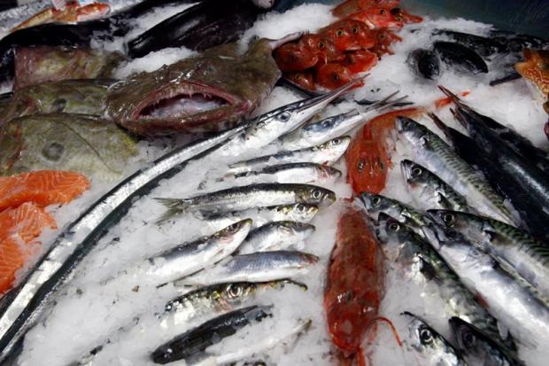 health dept seized 60 kg rotten fish