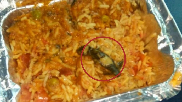 dead lizard in train veg biriyani