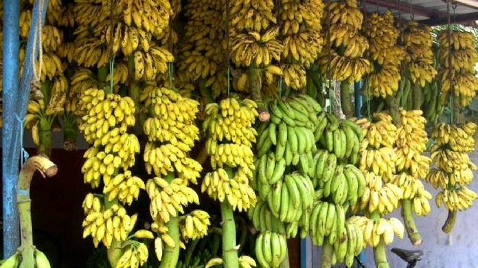 banana price hike onam begins banana price shoot up