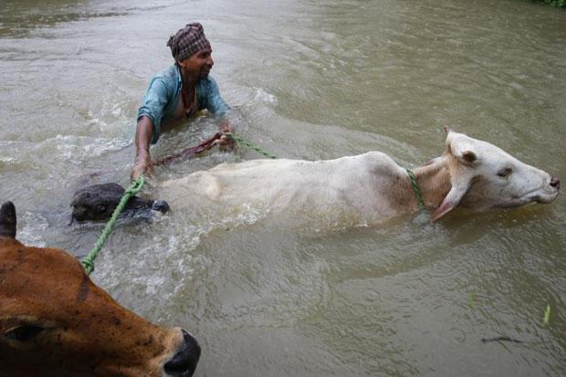 nepal flood death toll touches 100