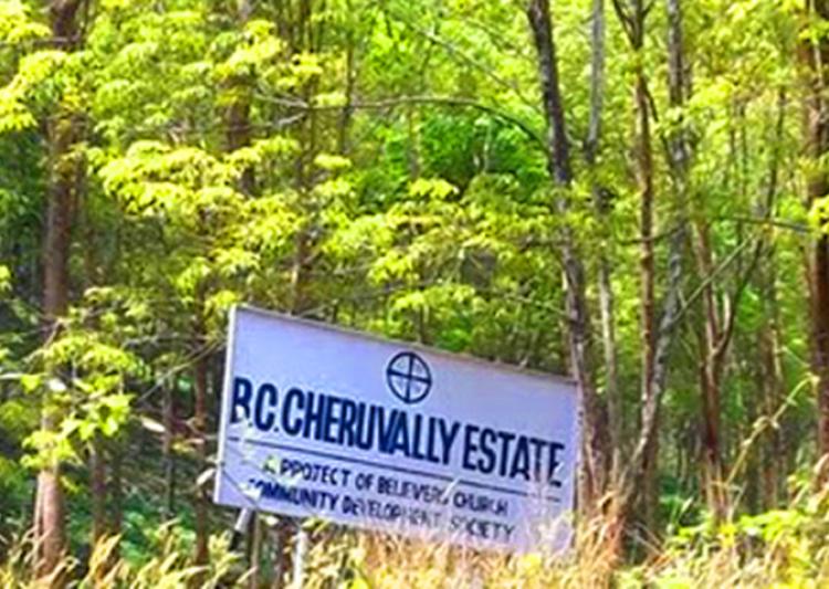 cheruvally estate belong to govt says chief minister