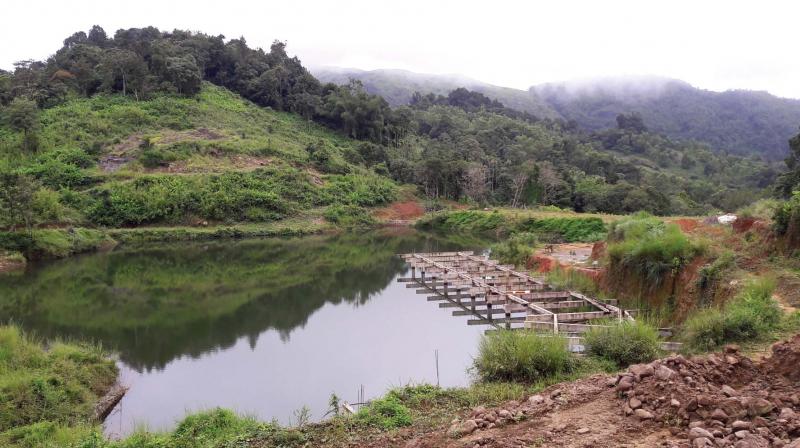 another dam beside anwar mla check dam