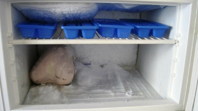 ex lover killed cut into pieces and stored in freezer by couple