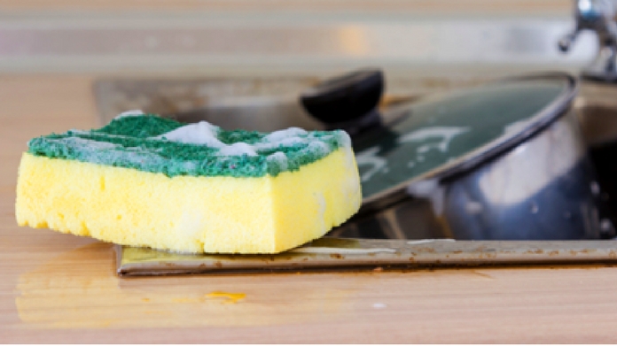 kitchen sponge and health issues
