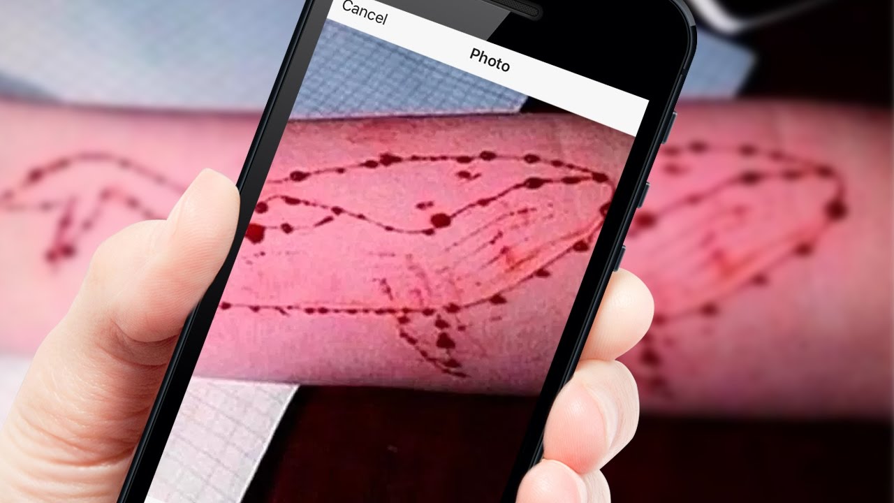 blue whale mobile sc asks centre to clarify their stand on blue whale game