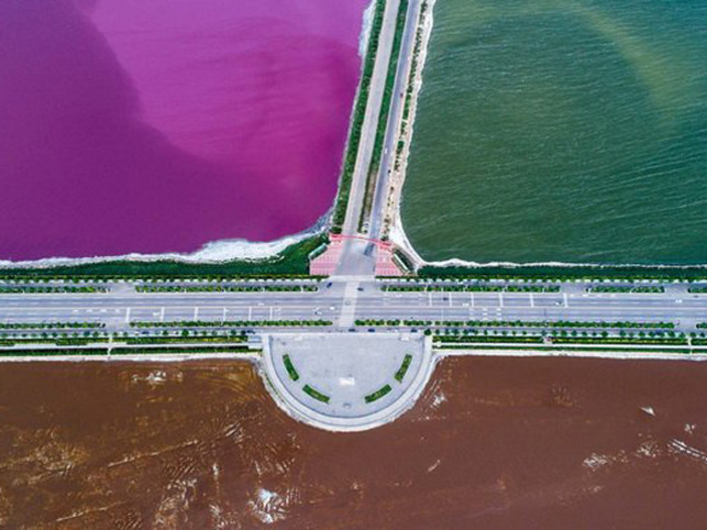 china dead sea turns pink