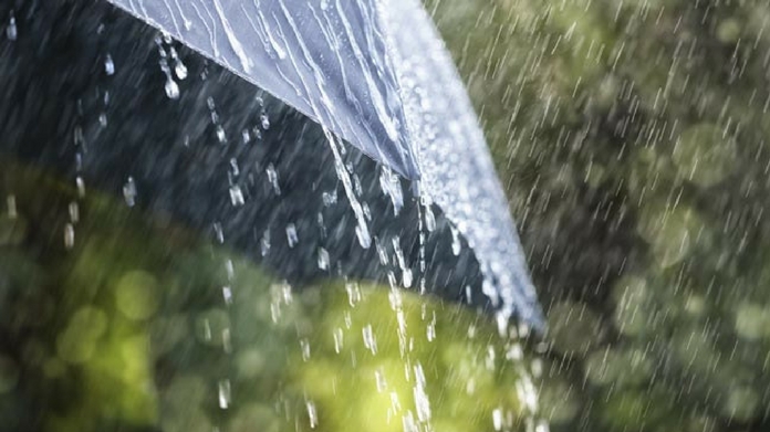 kerala heavy rain holiday declared for educational institutions