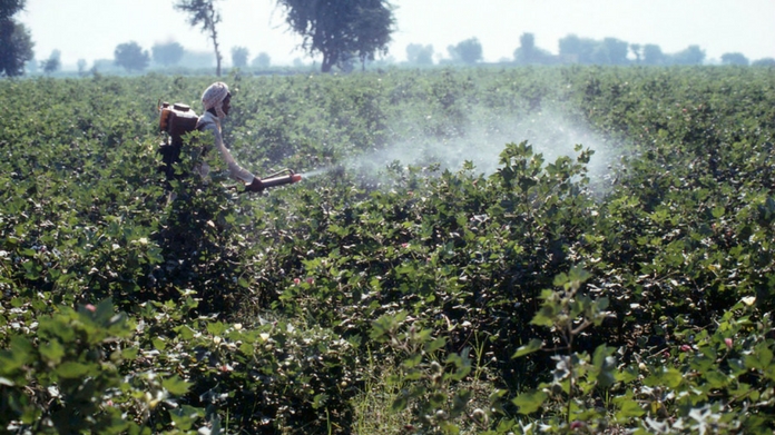 18 farmers dead inhaling pesticide in maharashtra