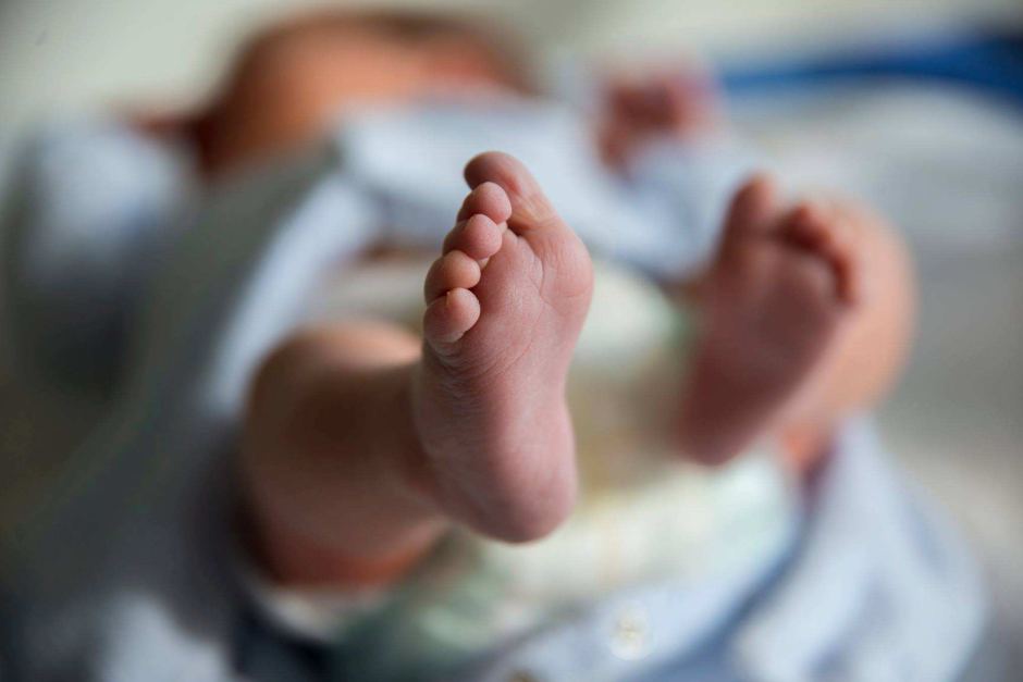 new born baby this is the baby who won free education by bengaluru govt