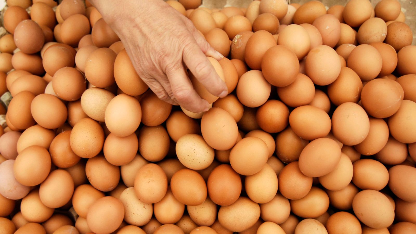 egg price hikes