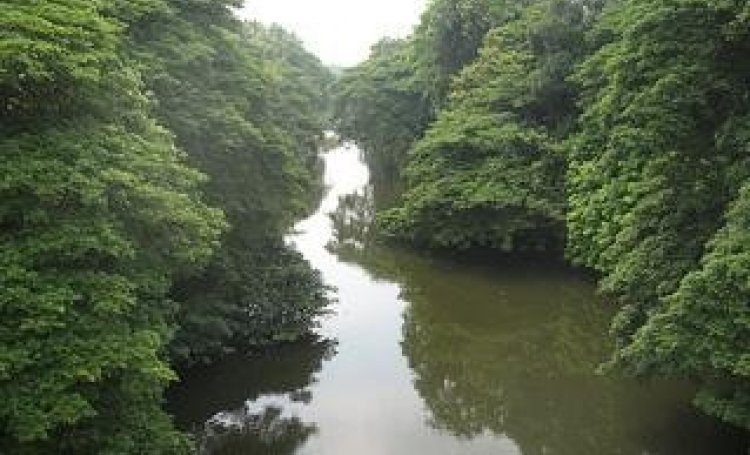 karamana river, green tribunal,