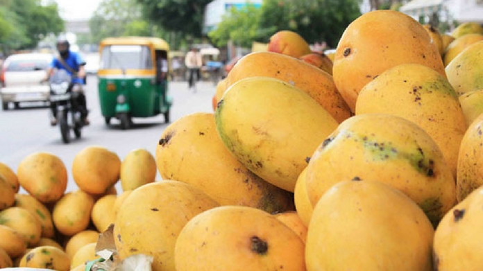 kerala food safety dept warns about hormones in mangoes