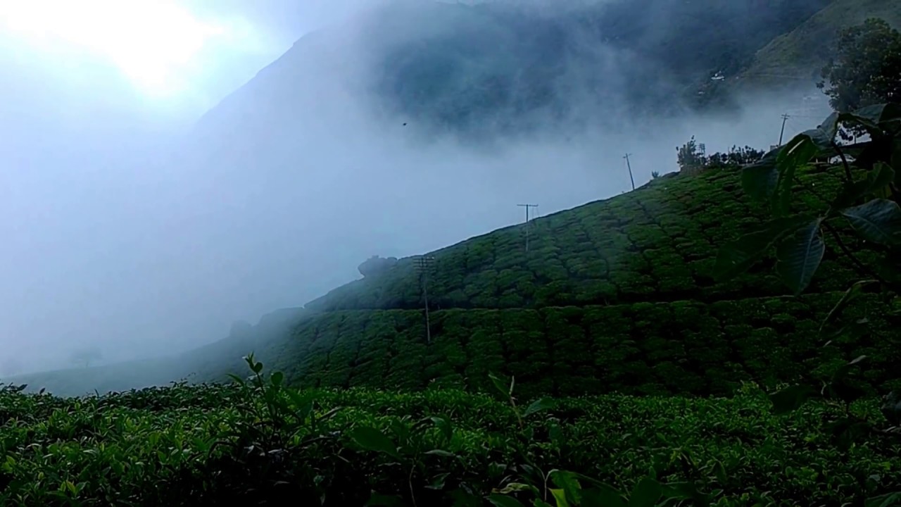 munnar temperature falls to one degree