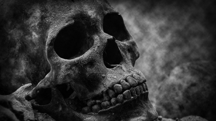 33 skull found