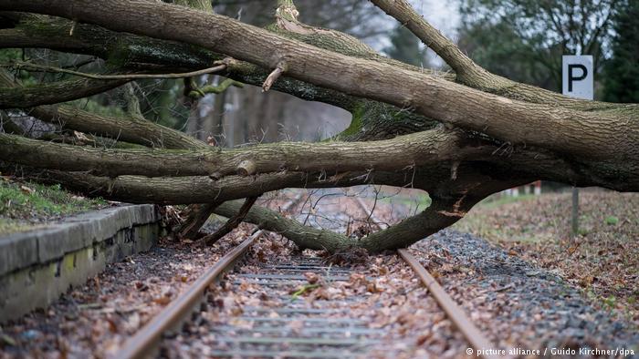 north europe storm