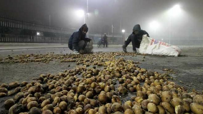 potato farmers protest