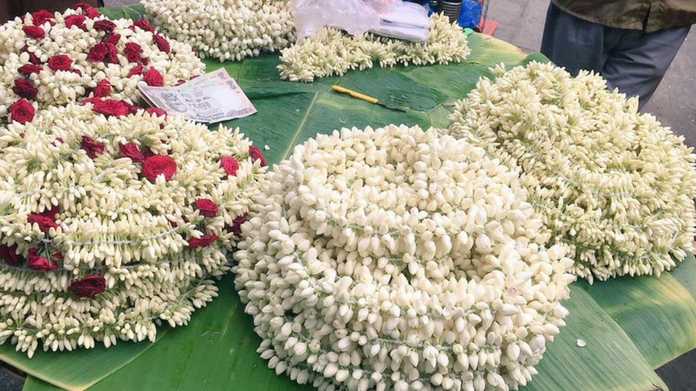 jasmine flower price sets new record