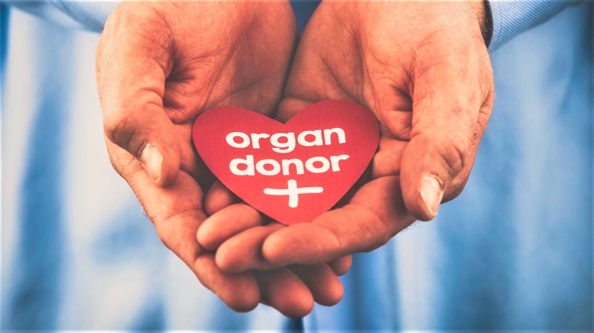 organ donation