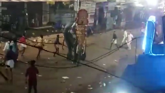 kollam elephant