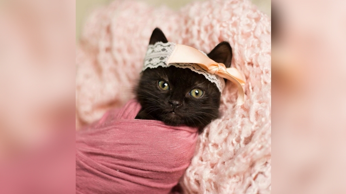 Luna Kitten viral photoshoot
