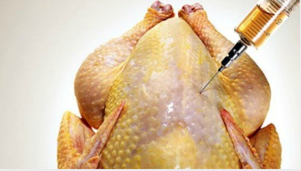 India farmed chickens dosed with world's strongest antibiotics