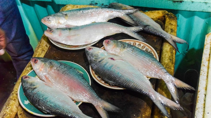 fish