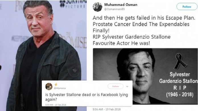 Sylvester Stallone death hoax again floods social media