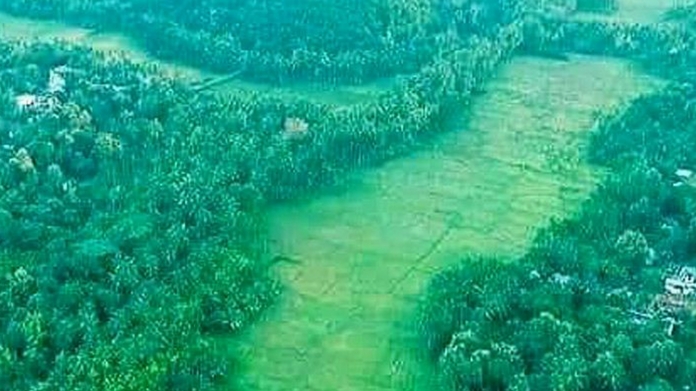 Keezhattur Vayal