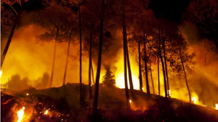 forest fire in theni death toll rises