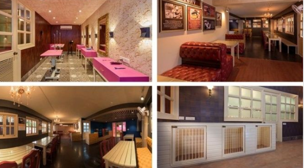 India's First Five Star Hotel For Dogs