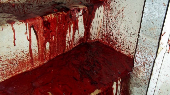 murder blood