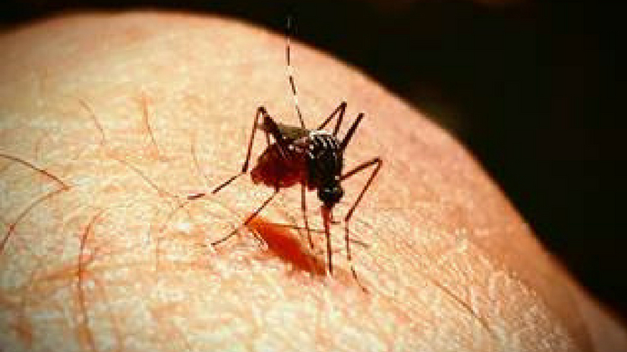 along with nippa dengue spreads in kasargod