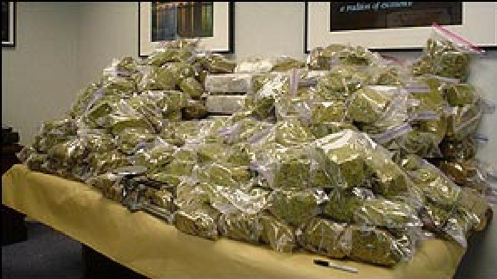 cannabis