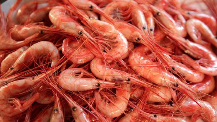 4000 kilogram prawns mixed with formaline seized at valayar