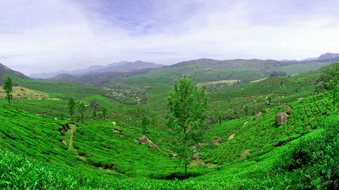 environment