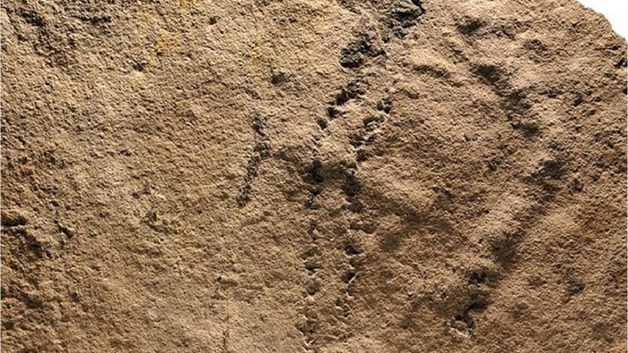 oldest footprint found in china