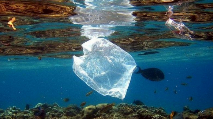 world environment day