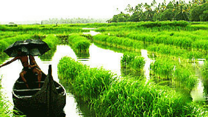 34.42 crore loss in kottayam