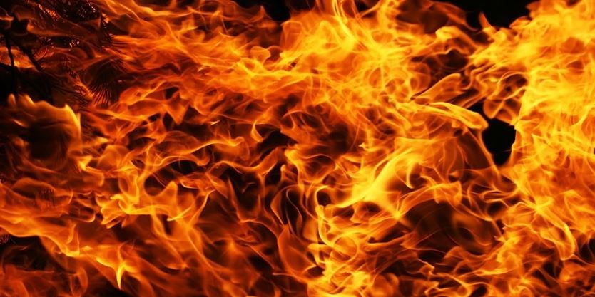 bird set 17 acre to fire