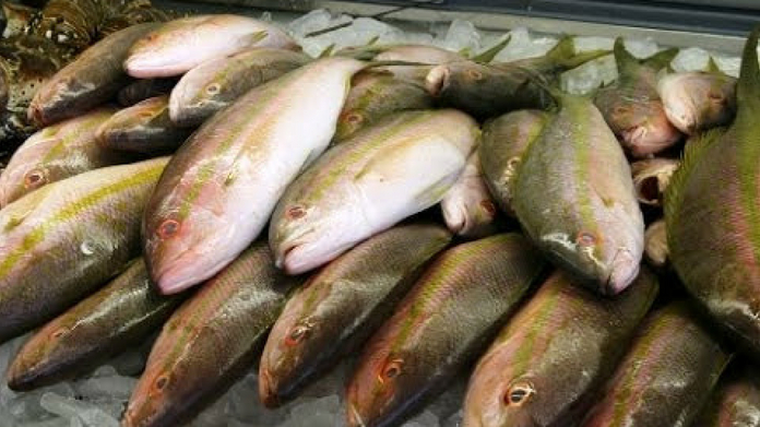 fish suspected of being adulterated with formalin being tested at kollam