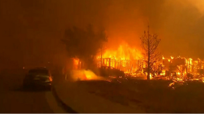 forest fire