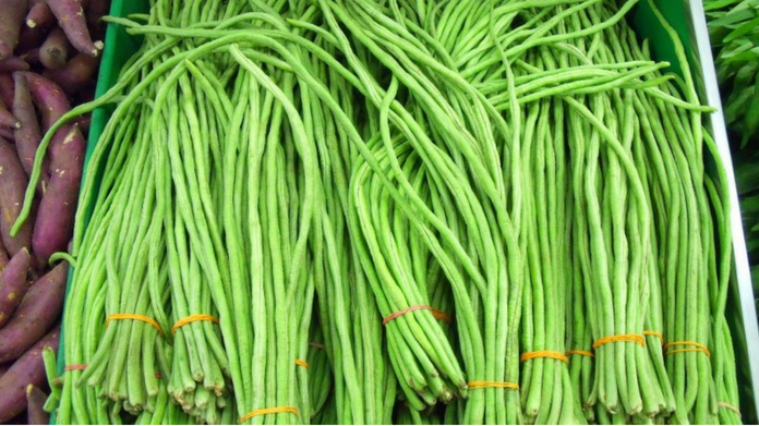 long bean