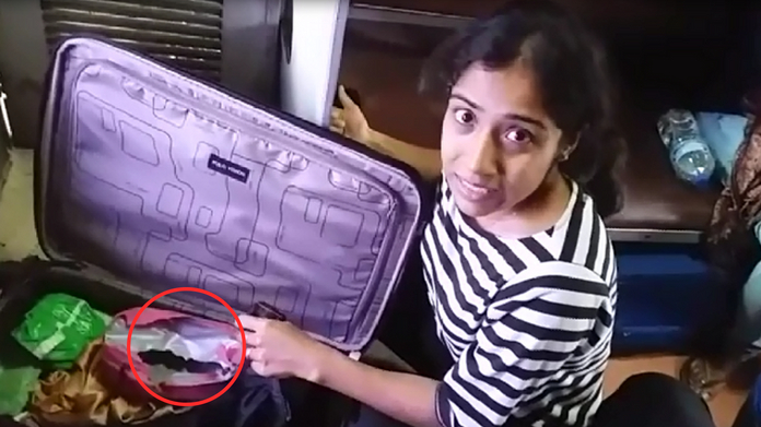 rat destroy clothes in bag in train